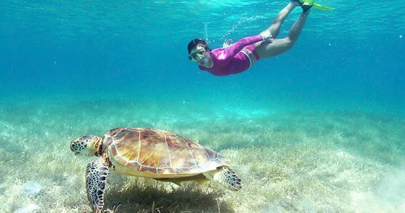 Snorkel tortugas